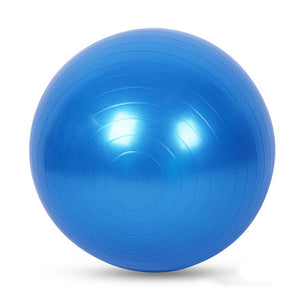25cm/45cm/55cm/65cm Sports Yoga Balls