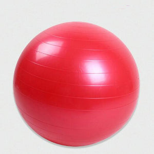 25cm/45cm/55cm/65cm Sports Yoga Balls