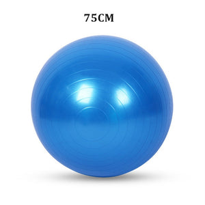 Yoga Ball Big ( Exercise Ball )