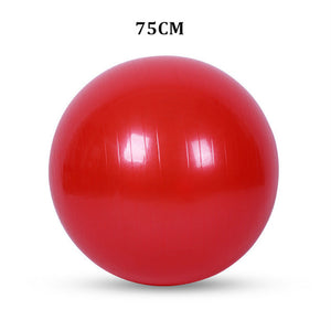 Yoga Ball Big ( Exercise Ball )
